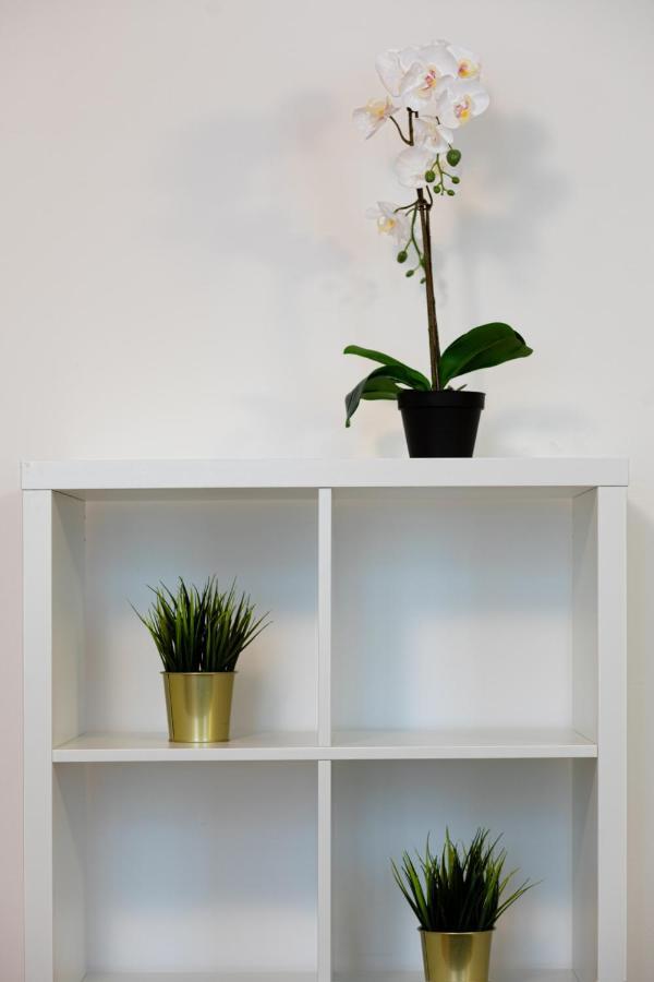 Old Riga Two Floor Palasta Loft Apartment With River View 외부 사진